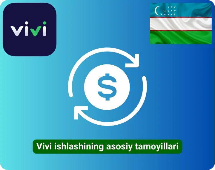 Основные принципы работы Vivi